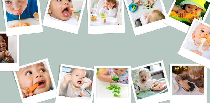 Fun mealtime: Introducing your little one to the world of food