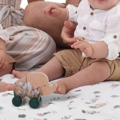 Wooden Push Toy - Elephant (Safari Collection)