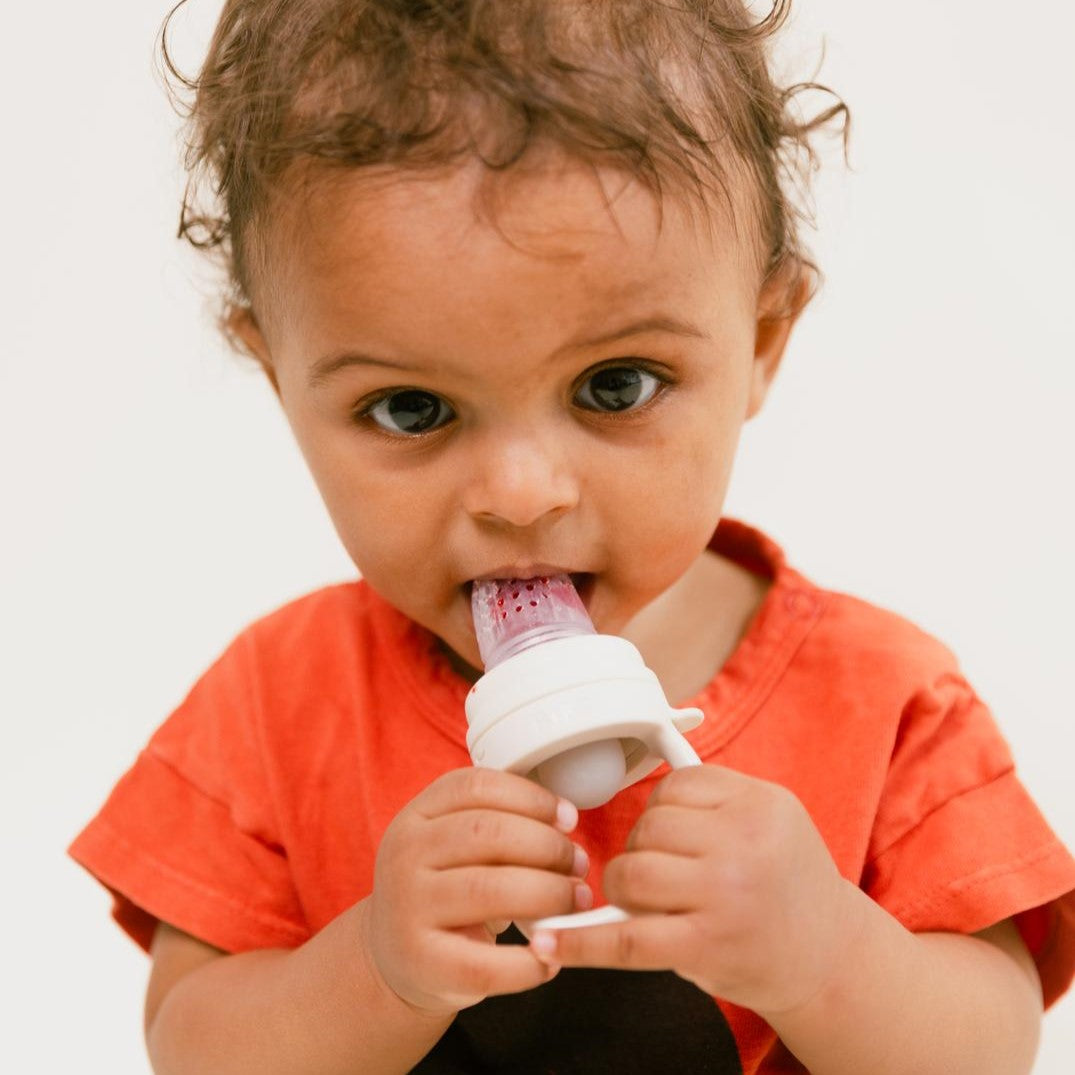 BIBS Baby Feeder