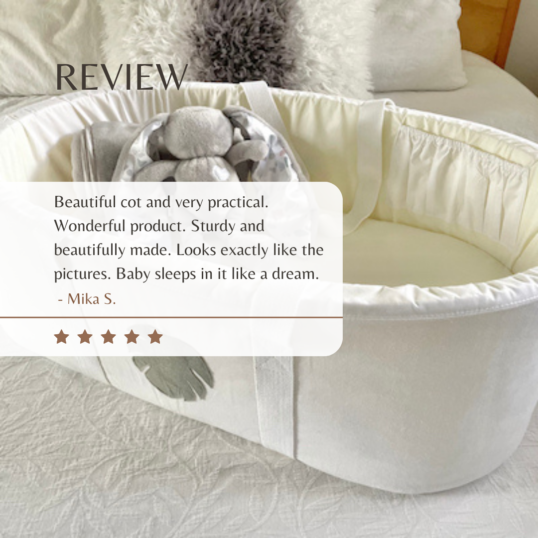 Carry Cot (free shipping)
