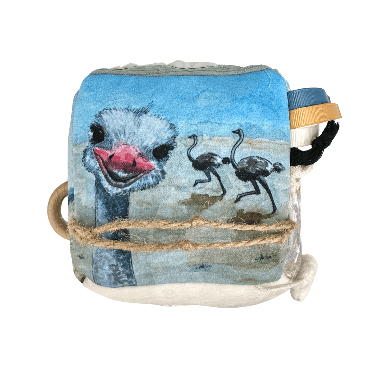 Curious Kudu Sensory Cubes